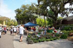 FreshherbsHydeParkMarket